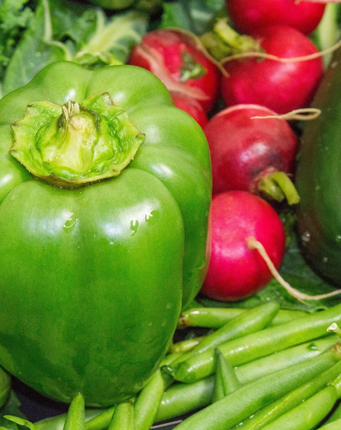 sam-frucht image store