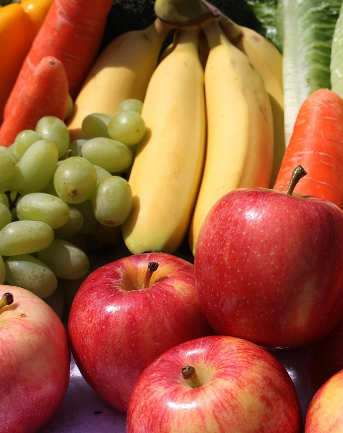 sam-frucht image